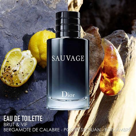 sephora dior sauvage 100ml prezzo|dior eau sauvage original.